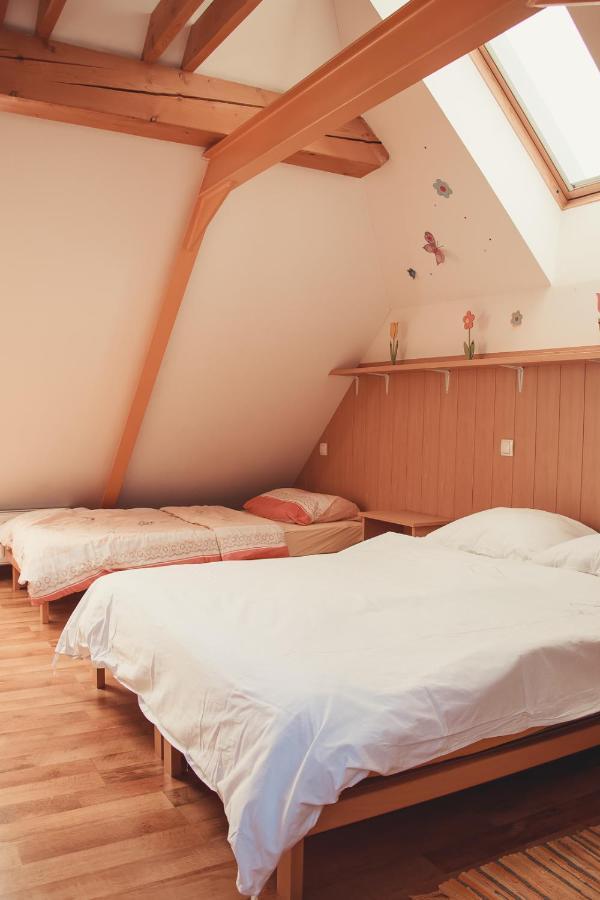 קרנייסקה גורה Apartma Soncek, On The Ski Slopes, Balcony, Private Parking מראה חיצוני תמונה