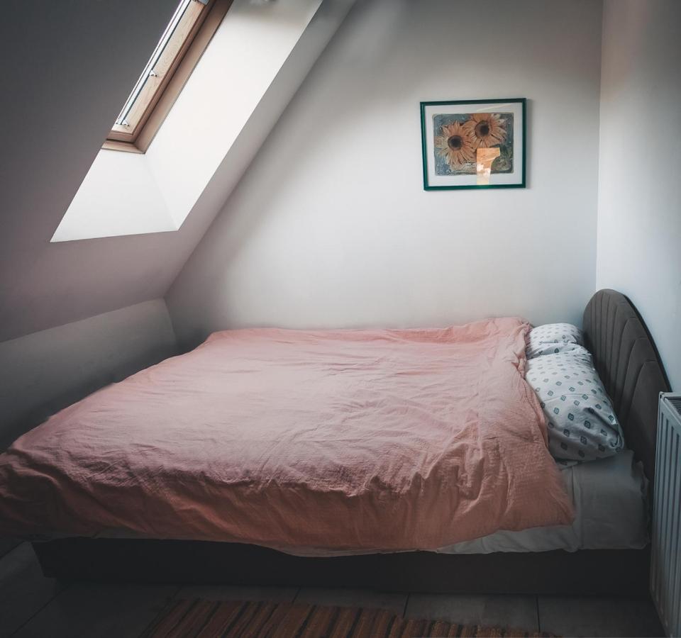 קרנייסקה גורה Apartma Soncek, On The Ski Slopes, Balcony, Private Parking מראה חיצוני תמונה